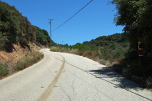 View up a steep push on Loma Prieta Way