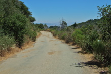 Asphalt sporadically reappears.