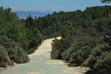 Another steep drop on pot-holed asphalt