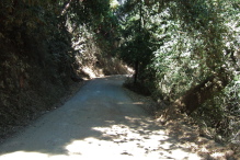 Summit Road descends into the trees again.