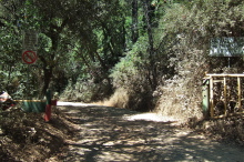 Summit Road south, southern gate