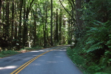 Descending Browns Valley Road