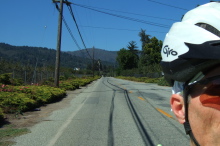 Passing apple orchards on Browns Valley Road
