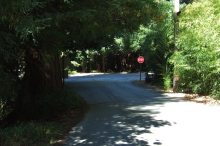 Heading up Rider Road from Eureka Canyon Road