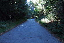 Climbing the lower reach of Buzzard Lagoon Road