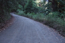 Buzzard Lagoon Road continues to climb steeply after it turns to dirt.
