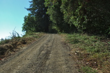 Buzzard Lagoon Road climbs above the trees for a view to the south.