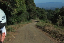 View back down Buzzard Lagoon Road