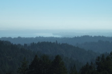 Point Santa Cruz from Buzzard Lagoon Road