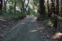 Approaching the road leading to Buzzard Lagoon
