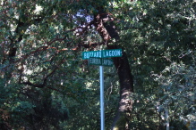 Back on asphalt at Eureka Canyon Road