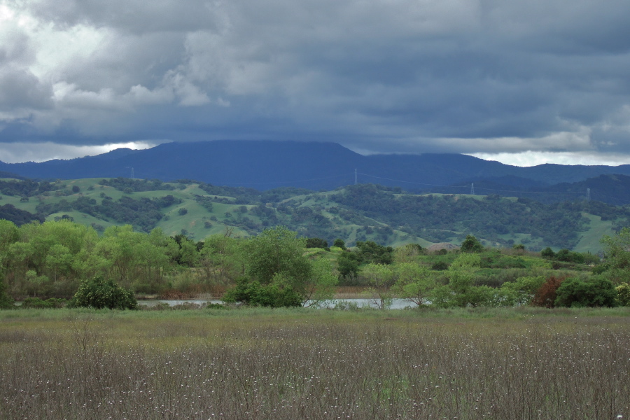 Loma Prieta is wrapped in clouds.
