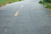 Roots create ripples in the trail surface.