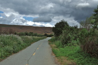 Coyote Creek Trail near the Coyote Creek Golf Course