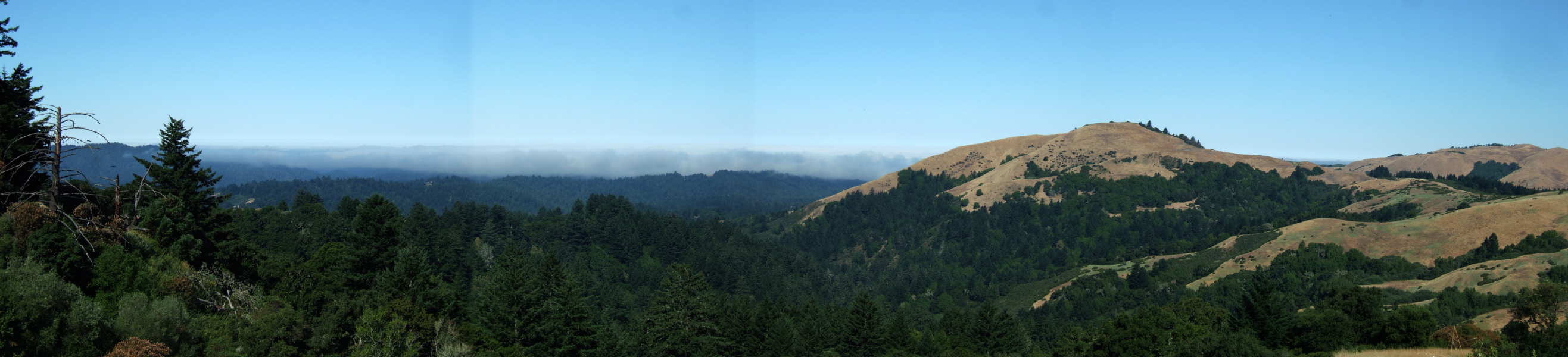 Mindego Hill Panorama