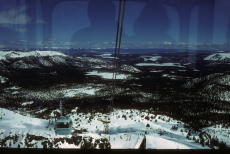On our way down the gondola