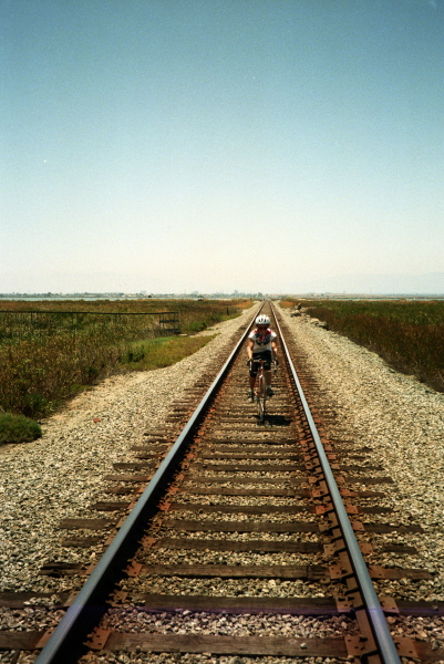 Stella rides the ties.