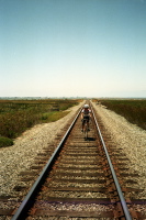 Stella rides the ties.