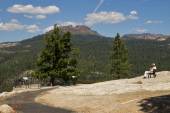 Bill at the Donnell Overlook bench