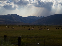 Clouds and Smoke over Bridgeport Valley