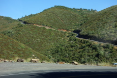 Old Priest Grade (from 