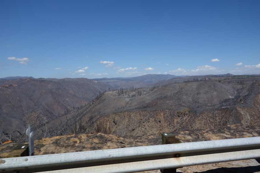 Burned hills from the Rim Fire