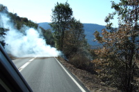 Hot spot smoke blowing across the road.