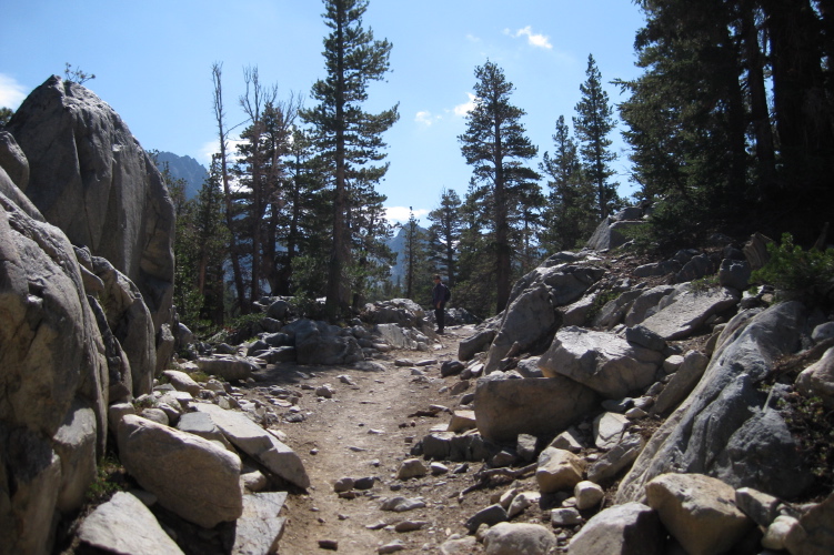 Stella waits for the others on the Duck Pass trail.