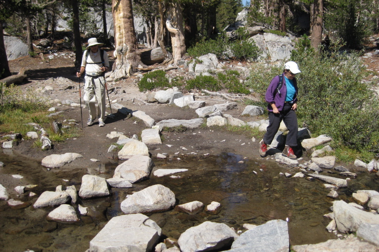 Stella crosses the creek.