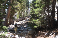 David hiking up the Duck Pass trail.