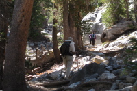 David and Stella hike up the Duck Pass trail.