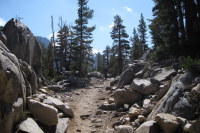 Stella waits for the others on the Duck Pass trail.