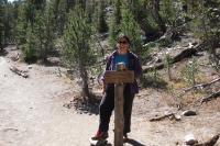 Stella pauses at a sign.