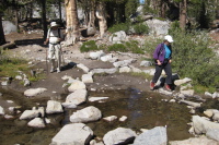 Stella crosses the creek.