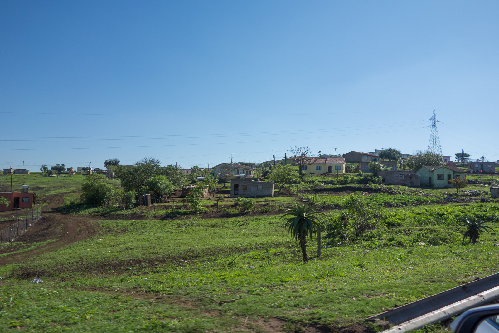 BB-20160530-024341.jpg