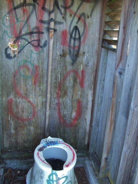 The privy's walls are cleaner than I expected.
