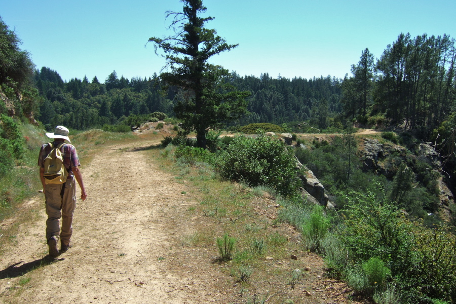 The road from the lookout tower descends a ridge.