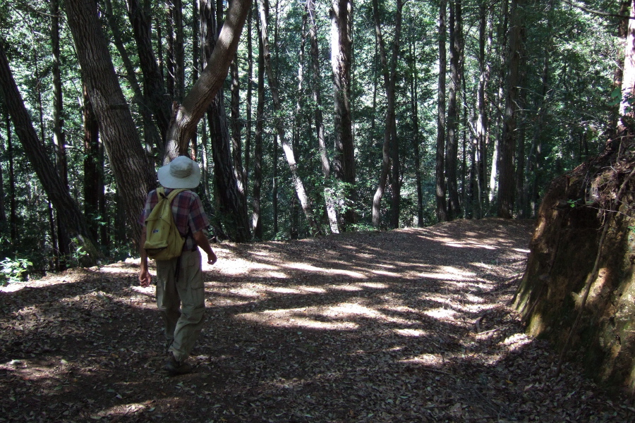 David heads down into the forest on Eagle Rock Road.