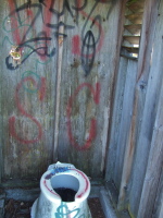 The privy's walls are cleaner than I expected.