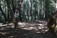 David heads down into the forest on Eagle Rock Road.