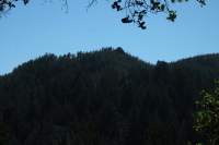 Buzzard's Roost (2150ft) can be seen on the next ridge over.