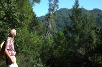 David looks for the Eagle Rock lookout tower.