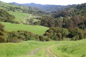 View up Wildcat Canyon toward Vollmer and Grizzly Peaks.