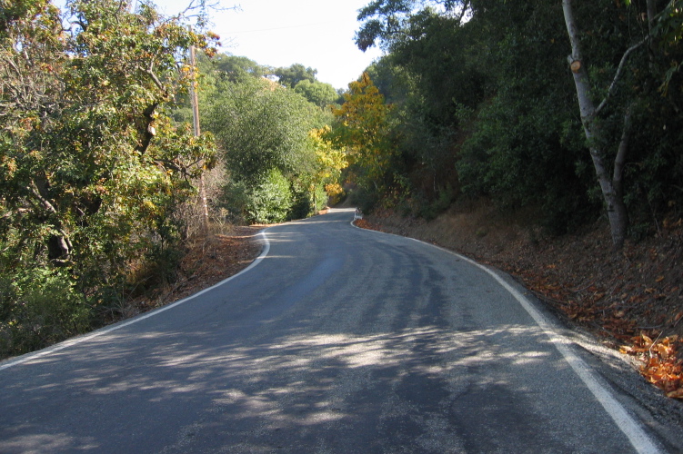 Further up the hill we see some of the big leaf maple trees turning and dropping their leaves. (1760ft) 