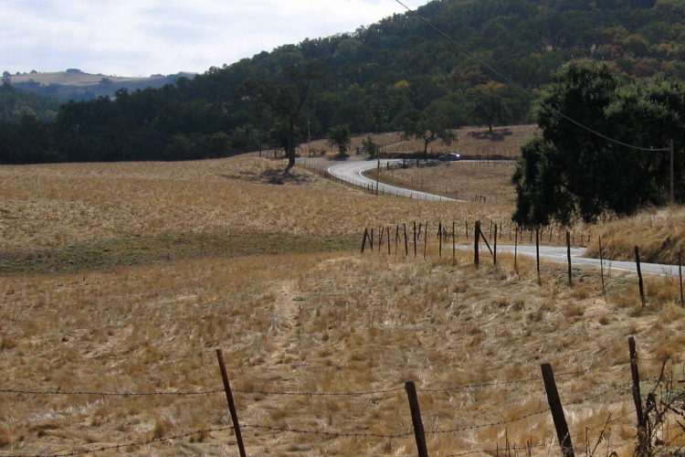 The road levels off at Oak Flat before resuming the climb. (1920ft)