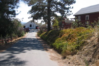 Finally, arrival at Henry Coe State Park. (2640ft)