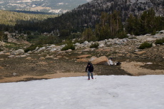 Stella begins her climb up the snow while David settles in for a long rest.