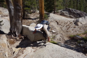 Frank climbs the