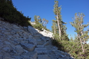 In some places the trail has nice steps.