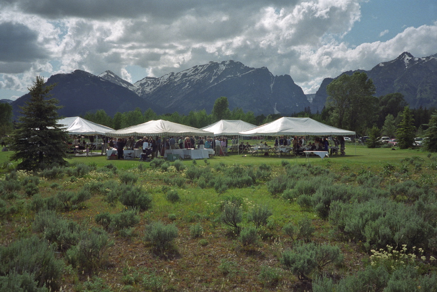 Wedding party and scenery (3)